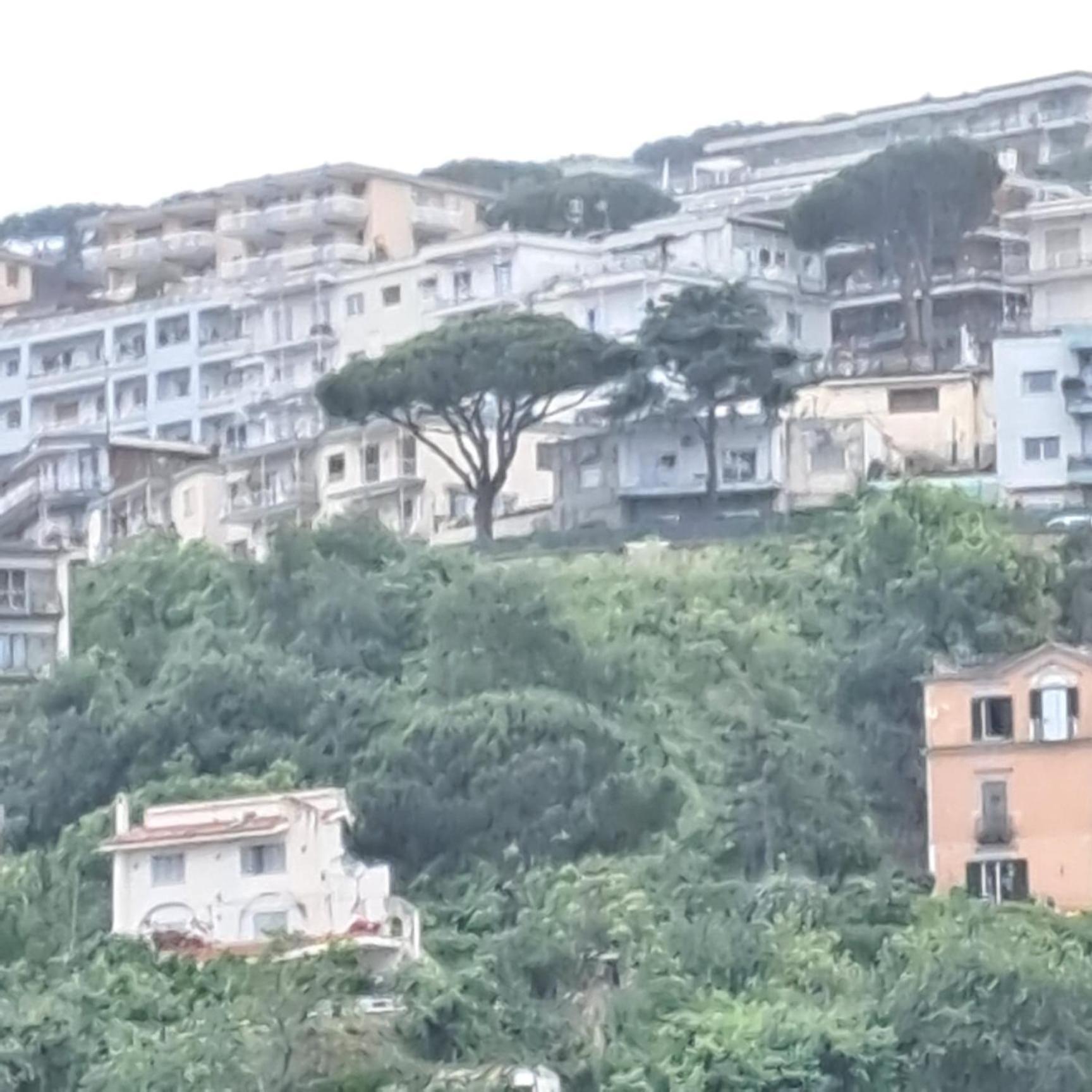 Hotel Domus Sirena à Naples Extérieur photo